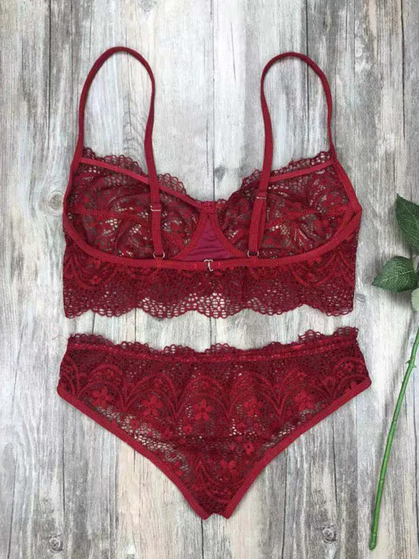 Women's Elegant Lace Bra And Pants Lingerie Set