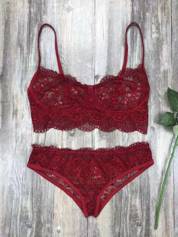 Women's Elegant Lace Bra And Pants Lingerie Set